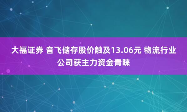 大福证券 音飞储存股价触及13.06元 物流行业公司获主力资金青睐