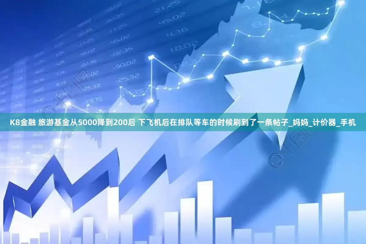 K8金融 旅游基金从5000降到200后 下飞机后在排队等车的时候刷到了一条帖子_妈妈_计价器_手机