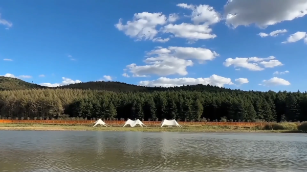 易操盘 活力中国调研行丨从稻菽千重浪到民富产业兴 农文旅融合让黑土地变成“聚宝盆”