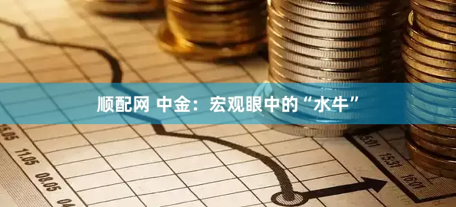 顺配网 中金：宏观眼中的“水牛”
