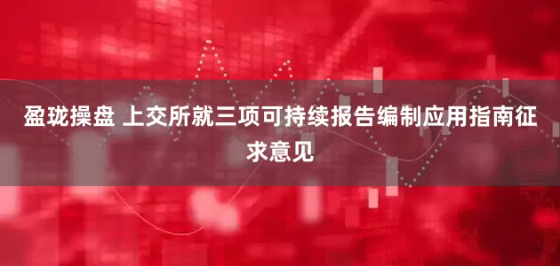 盈珑操盘 上交所就三项可持续报告编制应用指南征求意见