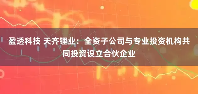 盈透科技 天齐锂业：全资子公司与专业投资机构共同投资设立合伙企业