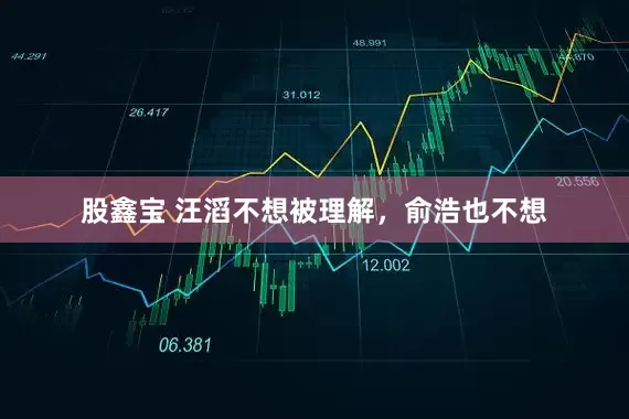 股鑫宝 汪滔不想被理解，俞浩也不想